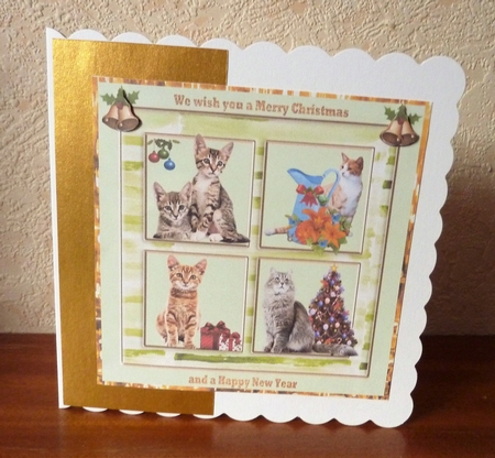 Cats at Christmas by Anne Jackson
