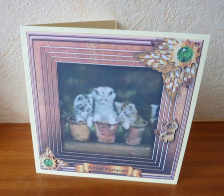Animal Antics - Potted Pussycats by Anne Jackson