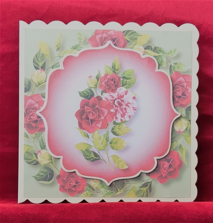 Beautiful Spring Camellias 4 8x8 by Anne Jackson