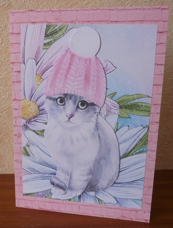 Keeping Dry Quick Card by Anne Jackson