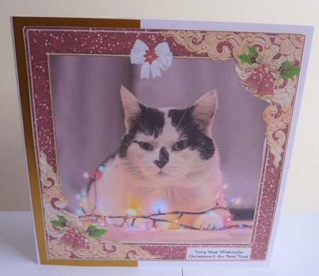 GLITZY CHRISTMAS MULTI SENTIMENTS 2 by Anne Jackson