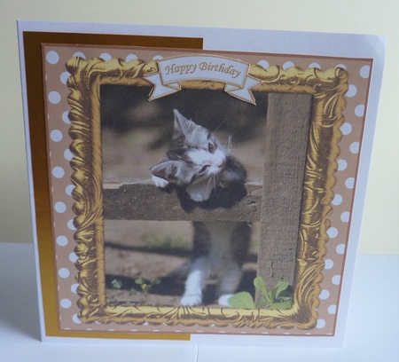 PAWS FOR THOUGHT 1 ( MULTI SENTIMENT ) by Anne Jackson