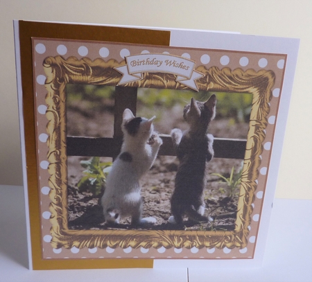 PAWS FOR THOUGHT 2 ( MULTI SENTIMENT ) by Anne Jackson