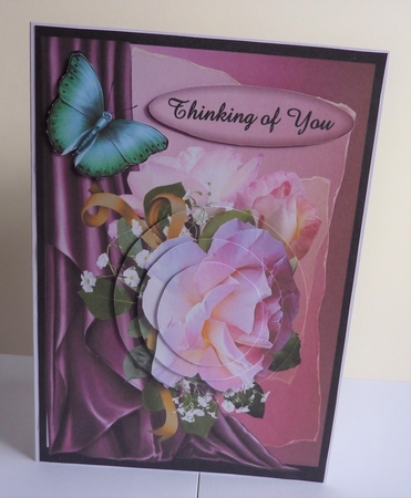 many reasons pink roses by Anne Jackson