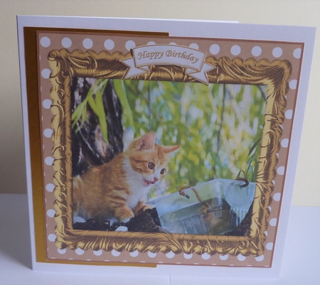 PAWS FOR THOUGHT 6 ( MULTI SENTIMENT ) by Anne Jackson