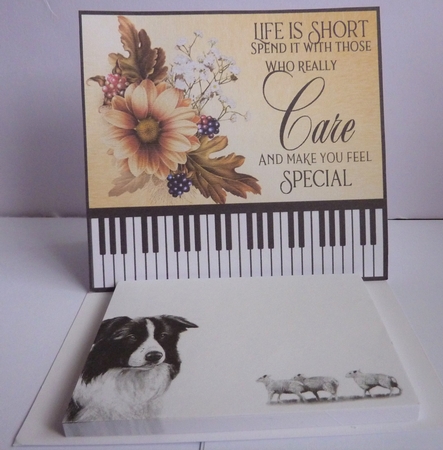 Life is short by Anne Jackson