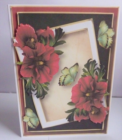 The Floral Angled Frame Bumper Kit 2 by Anne Jackson