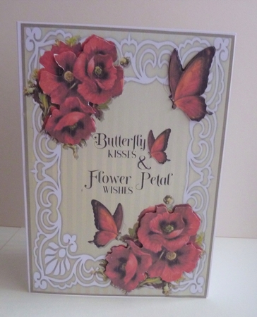 Butterflies and poppies A5 by Anne Jackson