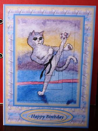 Karate Cat Pyramage by Anne Jackson