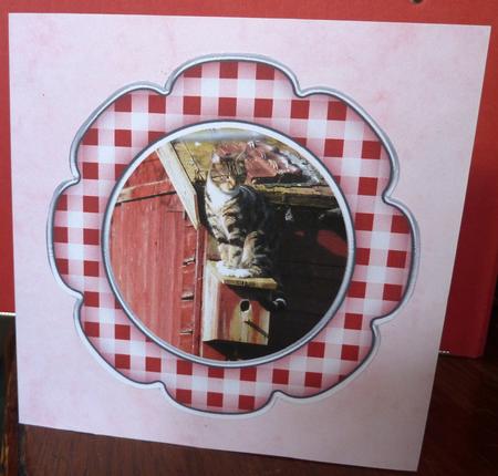 Scallop Edge Round Gingham Frames by Anne Jackson