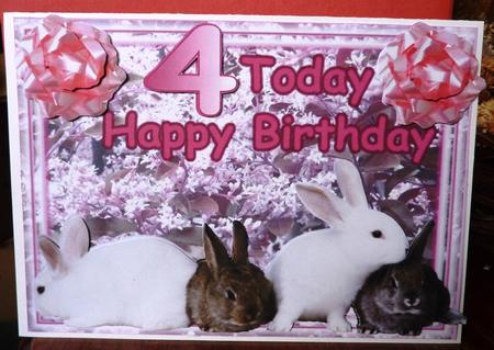 Bunny 44 by Anne Jackson
