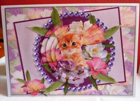 Cute Little Kitty Insert by Anne Jackson