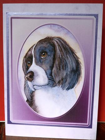 Spaniel by Anne Jackson