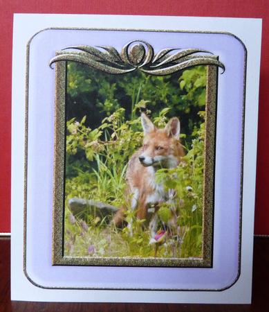 Glass and Gold Rectangular Frames - Set 1 by Anne Jackson