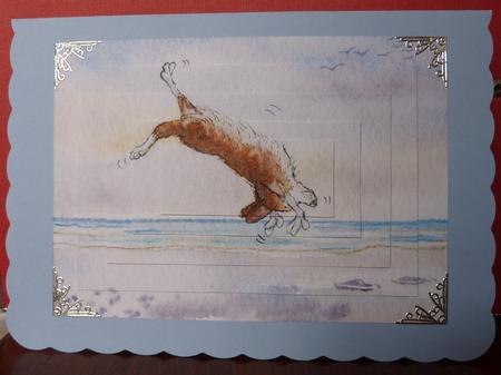 She Always Started the Day with a Somersault by Anne Jackson