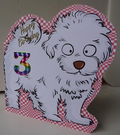 Cute White Dog Shaped Card with Ages by Anne Jackson