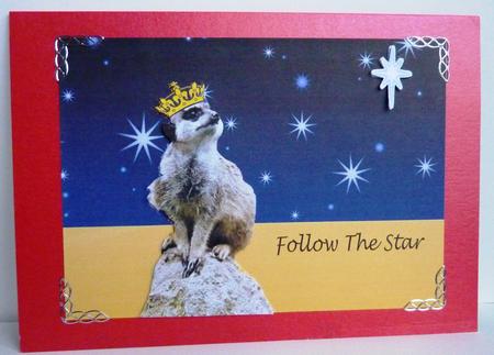 Follow the Star Meerkat A4 Card Front by Anne Jackson