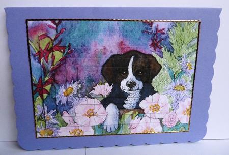 Puppy Hiding in the Garden Pyramid by Anne Jackson