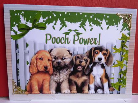 Pooch Power, Cute Little Dogs A4 by Anne Jackson