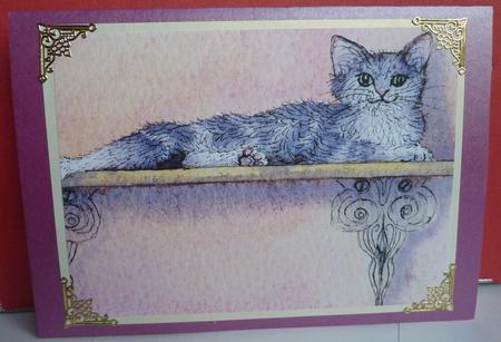 Oy! This is My Shelf!!! by Anne Jackson