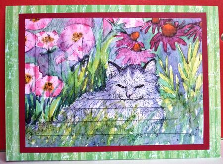 Sleepy in the Garden Pyramid by Anne Jackson