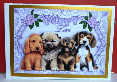 Cute Puppies with Puppy Love in a Frame A4 by Anne Jackson