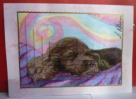 He Had a Degree in Relaxation Studies Pyramage by Anne Jackson
