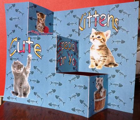 Cute Kittens by Anne Jackson