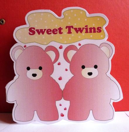Sweet Twins ( Baby Girls) by Anne Jackson