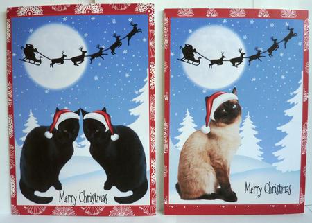 Christmas Cats by Anne Jackson