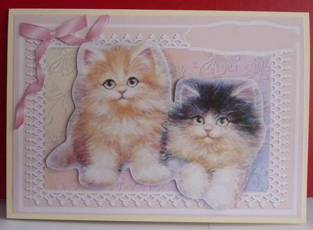 Two Little Balls of Fluff  by Anne Jackson