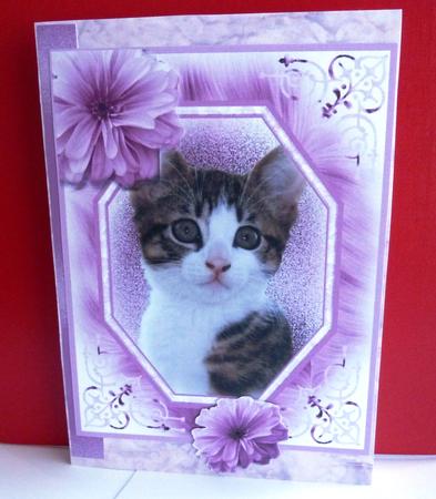 Mother's Day Kitten by Anne Jackson