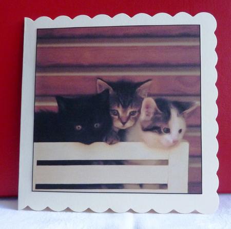 Cute Kittens Topper by Anne Jackson
