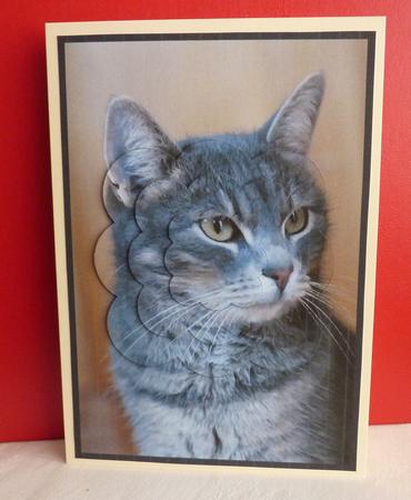 Grey Cat Scalloped Pyramid by Anne Jackson