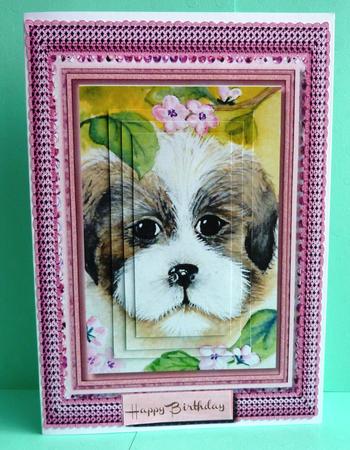 Beautiful Pup Among the Blossom  by Anne Jackson