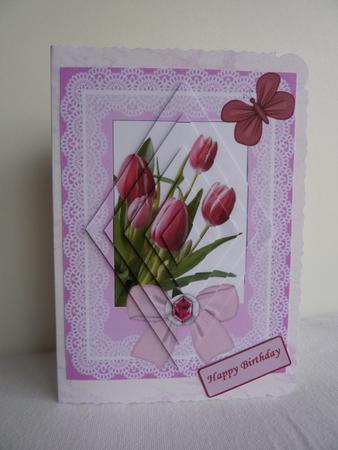 Beautiful Tulips by Anne Jackson