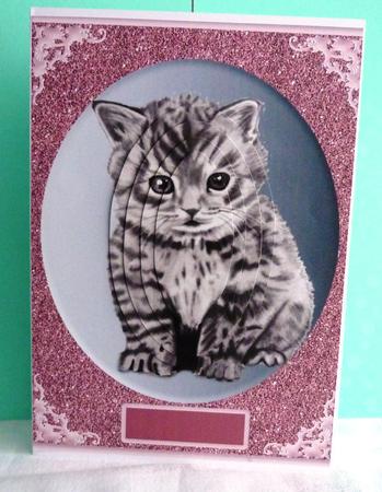 Pretty Kitty by Anne Jackson