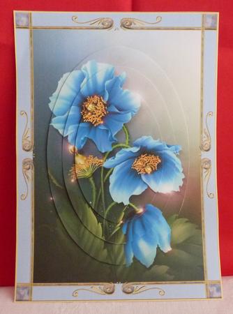 Beautiful Framed Blue Poppies with Pyramage by Anne Jackson