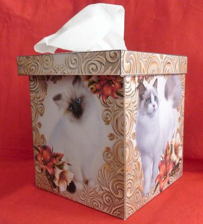 Rags & Lillies Tissue Box Cover by Anne Jackson