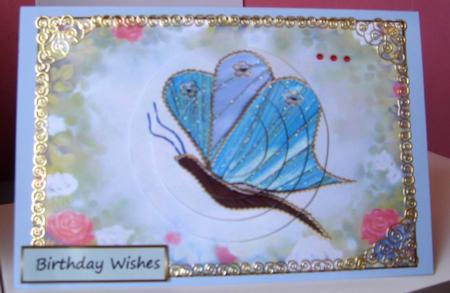 Blue Butterfly Qs by Anne Lawson