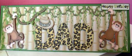Jungle Dad by Anne Lawson