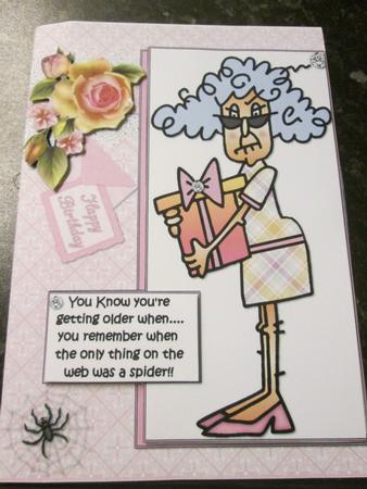 Stella and the Web Quick Card by Anne-marie Wheeler