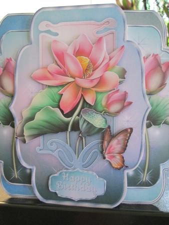 In Love with Lotus Quick & Easy Pop-out Card Mini-kit by Anne-marie Wheeler