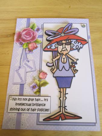 Stella It's Not Gray Hair by Anne-marie Wheeler