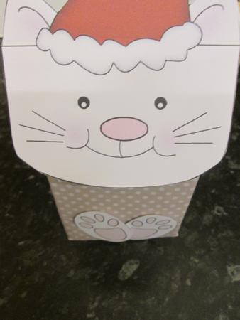 3D Little Cat Cute Xmas Character Gift Bag Mini Kit by Anne-marie Wheeler