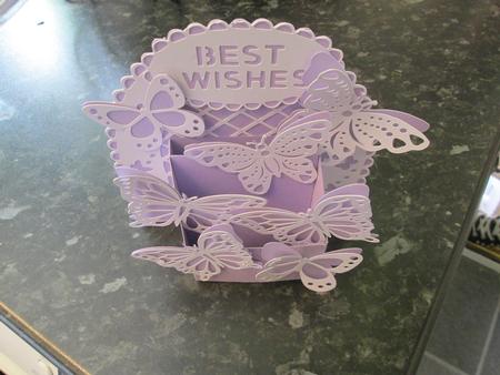 3D Box- Box Of Butterflies by Anne-marie Wheeler