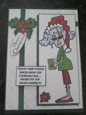 Stella Themed Christmas Bumper Kit by Anne-marie Wheeler