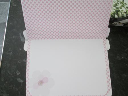 Teddy Handbag Card Large Pink Spotty Insert by Anne-marie Wheeler