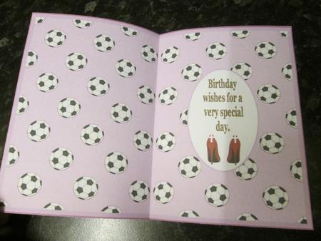 Girls Love the World Cup Too Insert by Anne-marie Wheeler