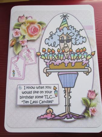 Stella Wants Some Tlc Quick Card by Anne-marie Wheeler